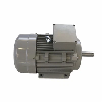 Asynchronous Starting Permanent Magnet Synchronous Motor